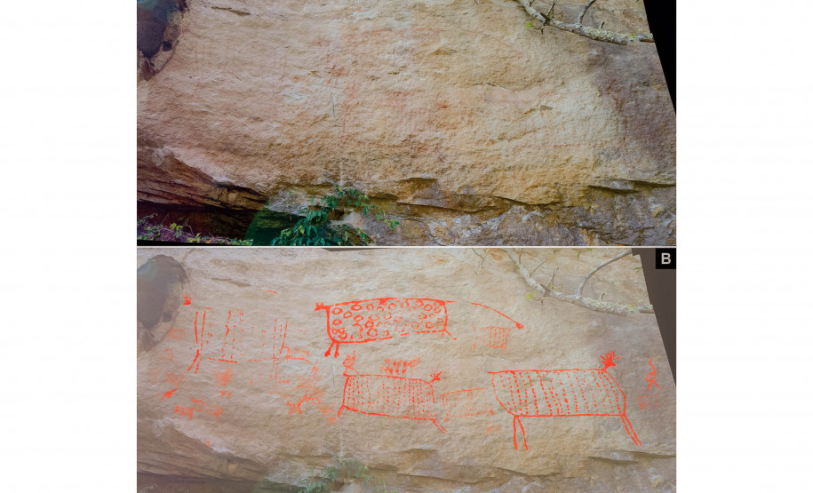 Cervos, araucárias e humanos: a pré-história do Paraná está nas paredes de Piraí do Sul