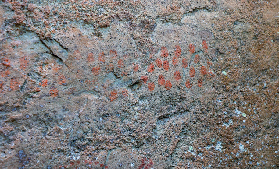 Cervos, araucárias e humanos: a pré-história do Paraná está nas paredes de Piraí do Sul
