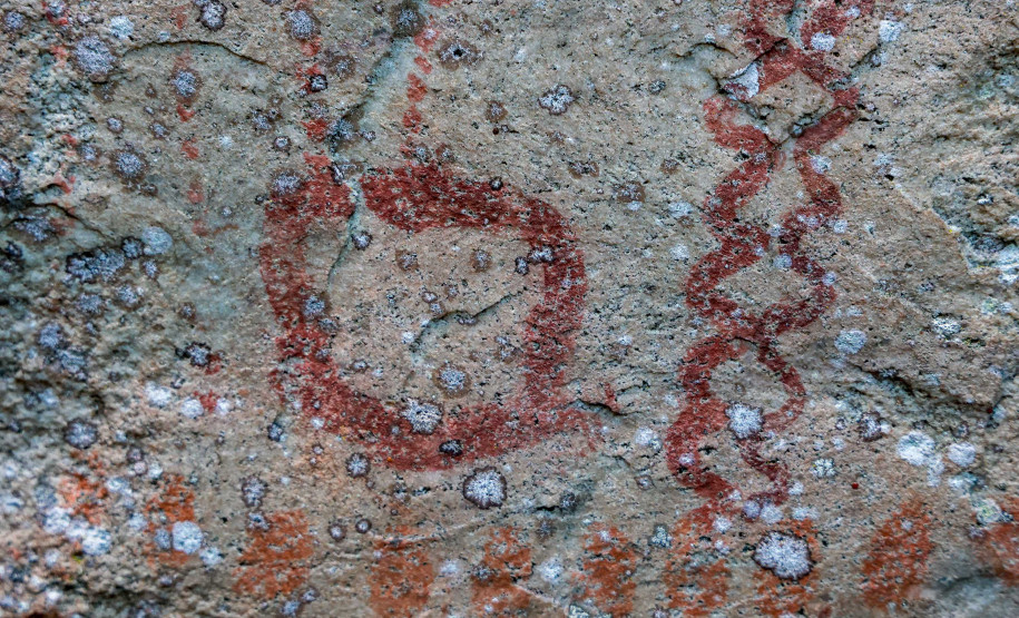 Cervos, araucárias e humanos: a pré-história do Paraná está nas paredes de Piraí do Sul