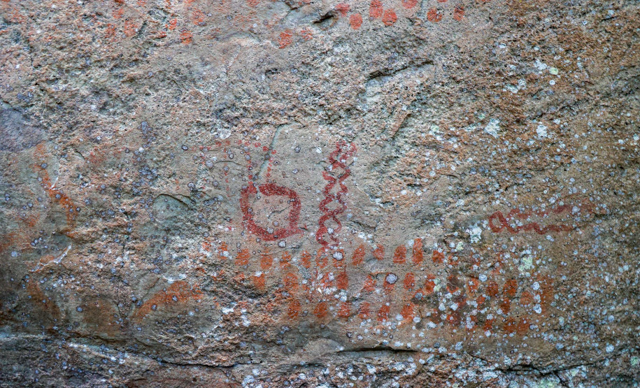 Cervos, araucárias e humanos: a pré-história do Paraná está nas paredes de Piraí do Sul