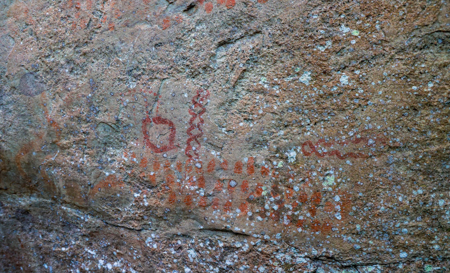 Cervos, araucárias e humanos: a pré-história do Paraná está nas paredes de Piraí do Sul