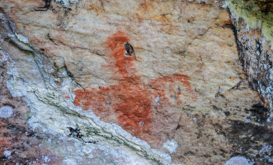 Cervos, araucárias e humanos: a pré-história do Paraná está nas paredes de Piraí do Sul