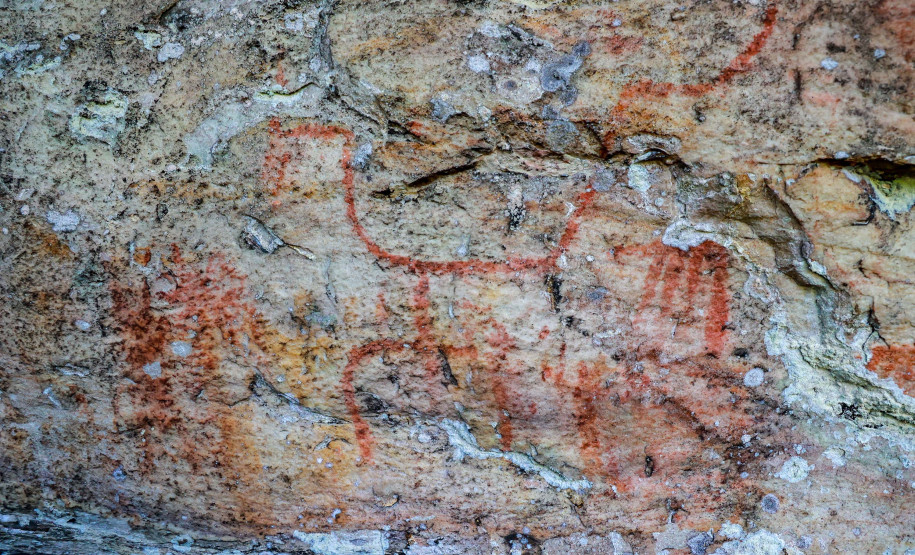 Cervos, araucárias e humanos: a pré-história do Paraná está nas paredes de Piraí do Sul