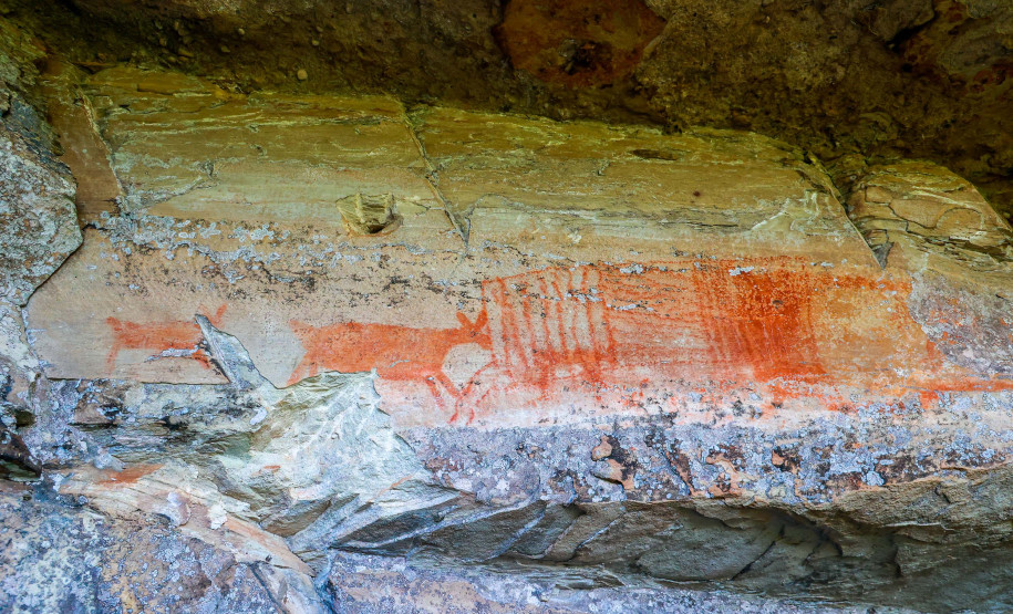 Cervos, araucárias e humanos: a pré-história do Paraná está nas paredes de Piraí do Sul
