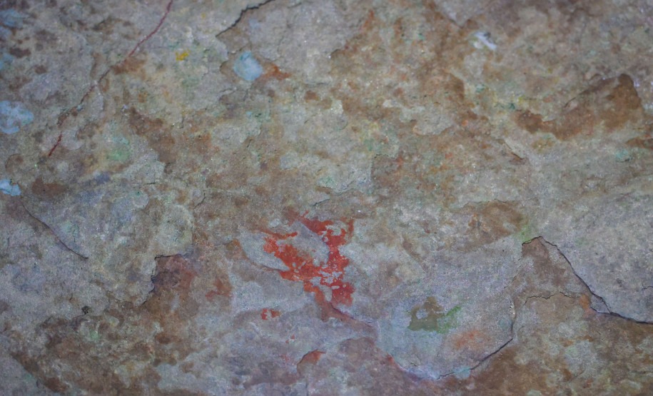 Cervos, araucárias e humanos: a pré-história do Paraná está nas paredes de Piraí do Sul