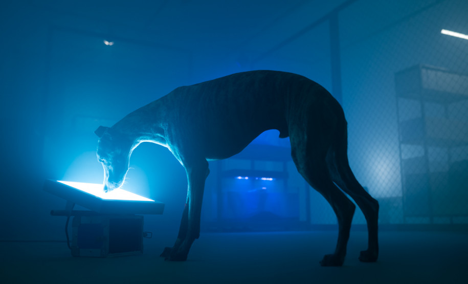 Museu Paranaense divulga resultado final do edital de ocupação do Espaço Vitrine