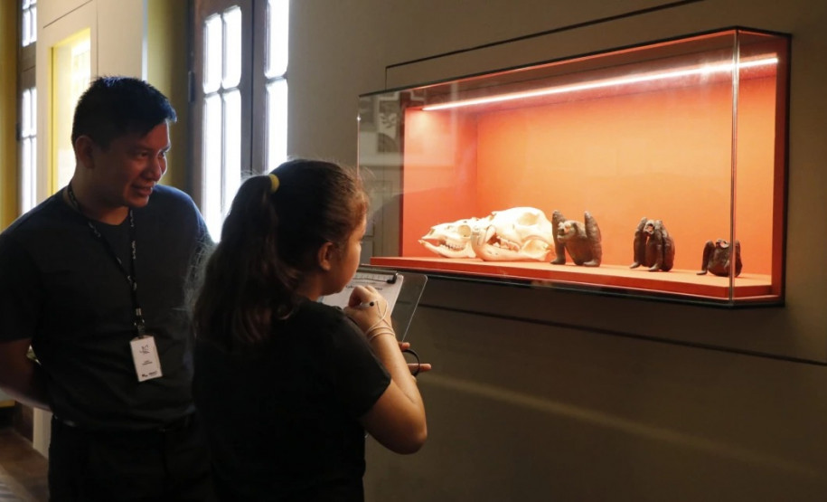 Fique por dentro das ações educativas do Programa Público no Museu Paranaense
