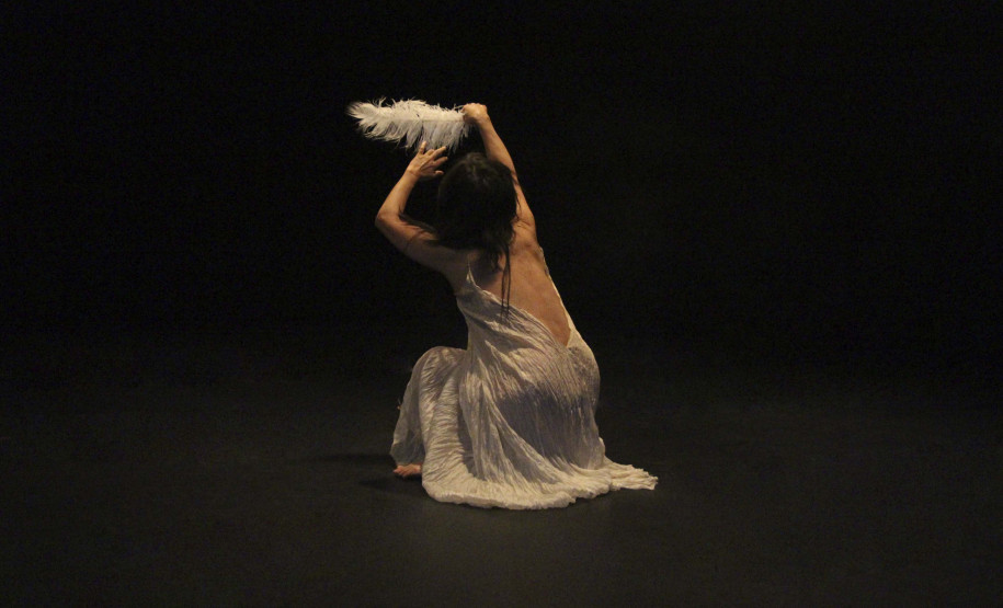 Artes cênicas são destaque do Programa Público do MUPA no final de semana