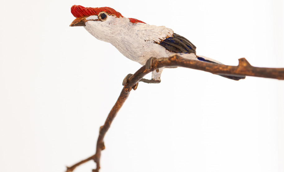 Humberto Gessinger, Efrain Almeida e Noite de Ideias: confira a semana da Cultura