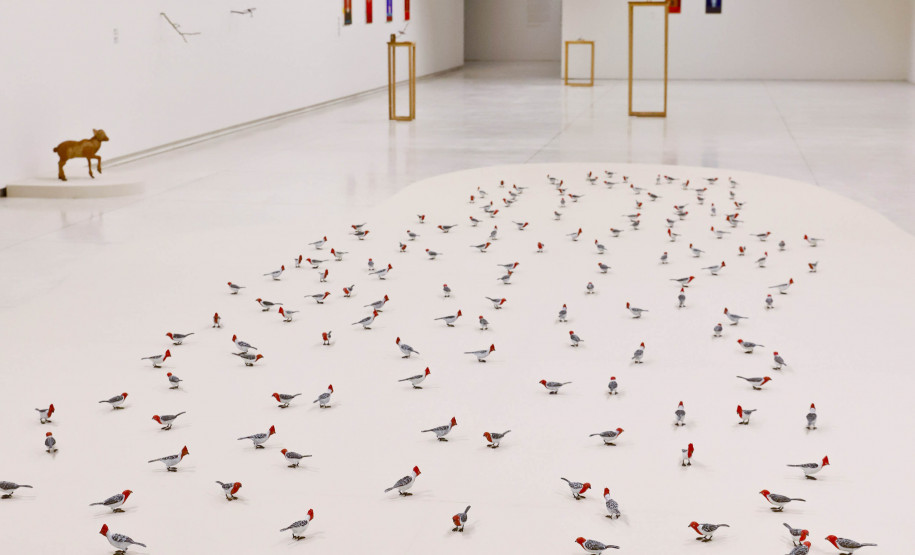 MON promove encontros para público 60+ sobre a mostra de Efrain Almeida