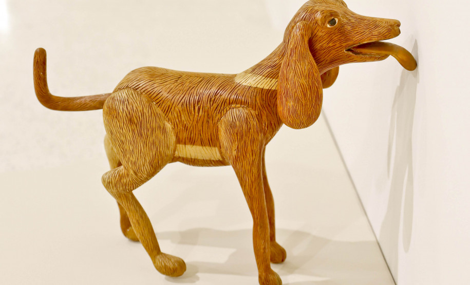 MON promove encontros para público 60+ sobre a mostra de Efrain Almeida