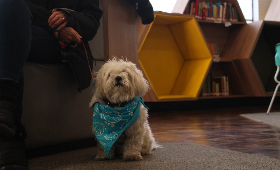 Biblioteca Pública do Paraná (BPP) - Seção Infantil - Leitura Amiga – Leitura de livros por crianças visitantes para os animais adestrados da ONG Cão Amigo, com coordenação da escritora Célia Cris. No sábado (24), às 10h.
