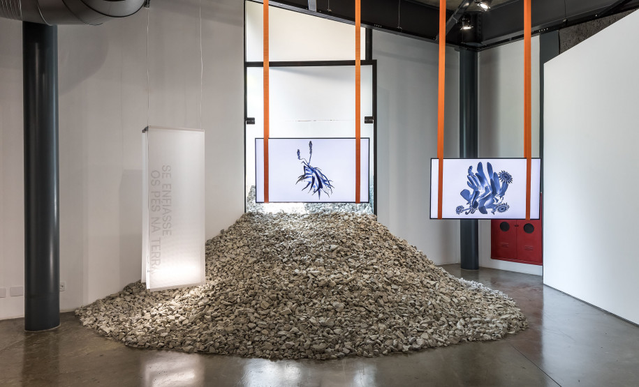 Museu Paranaense lança catálogo do primeiro Programa Público neste sábado