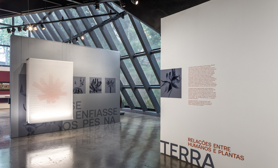 Museu Paranaense lança catálogo do primeiro Programa Público neste sábado