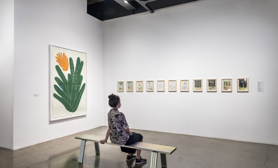 Museu Paranaense lança catálogo do primeiro Programa Público neste sábado