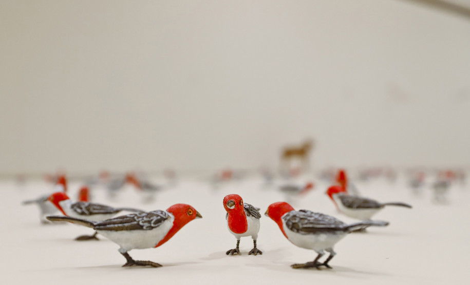 Paraná receberá Alceu Valença, Pato Fu, Mônica Salmaso e nova exposição no Alfredo Andersen
