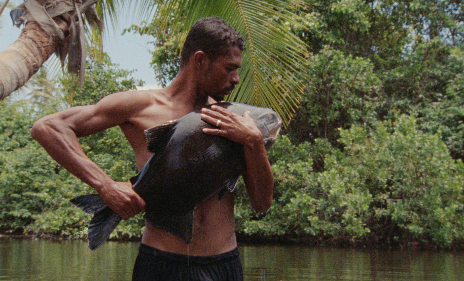 MUPA recebe artista alagoano para conversa sobre as relações entre pescadores e peixes