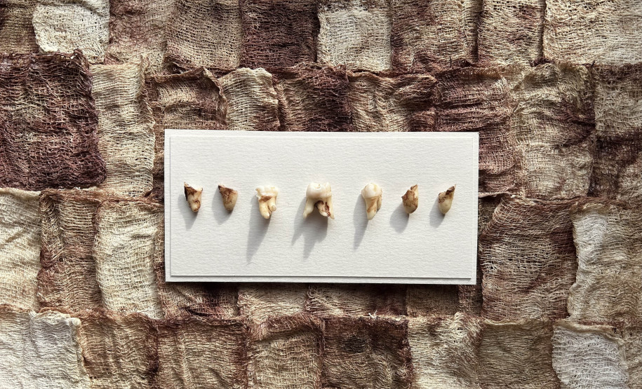 MAC Paraná promove nova série de oficinas gratuitas