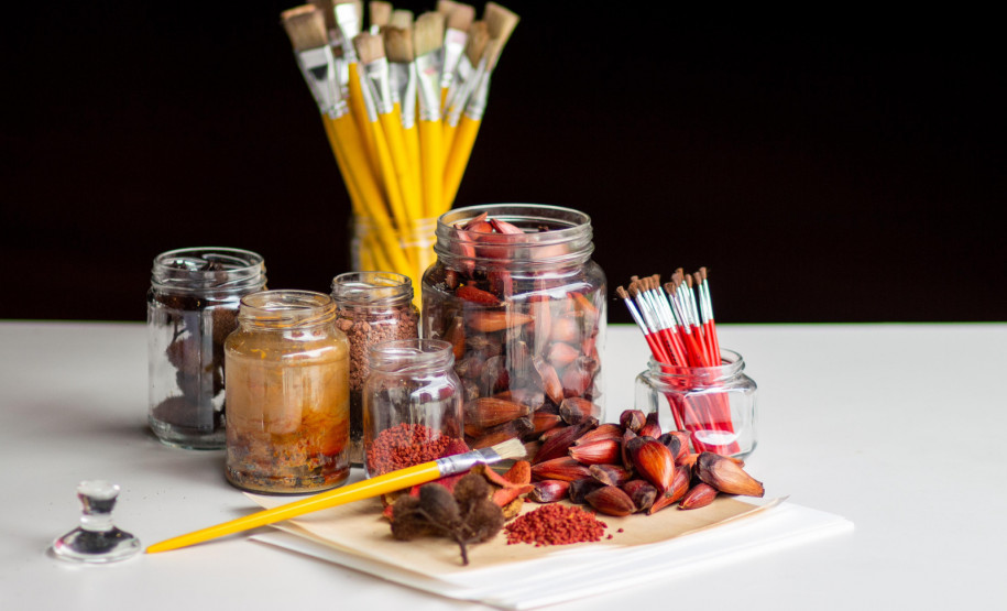 MAC-PR promove oficina sobre criação de pigmentos naturais com plantas nativas