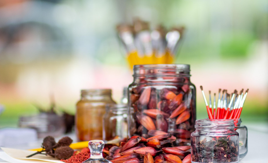 MAC-PR promove oficina sobre criação de pigmentos naturais com plantas nativas