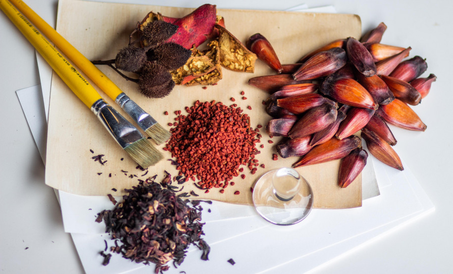 MAC-PR promove oficina sobre criação de pigmentos naturais com plantas nativas