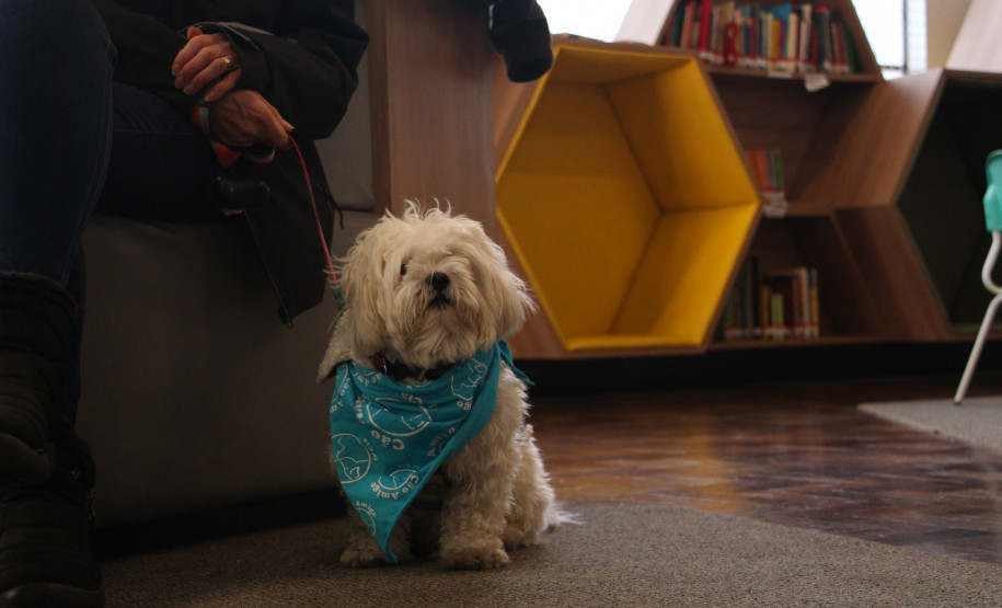 Orquestra Sinfônica, Cine Inclusivo e atividades especiais: confira a agenda cultural