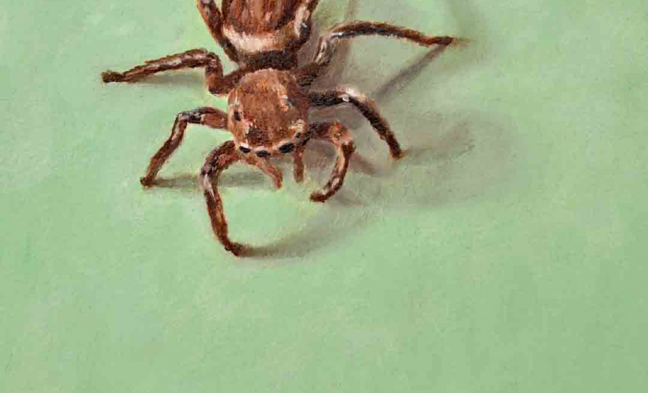 Cândido de outubro discute o impacto ambiental no meio literário