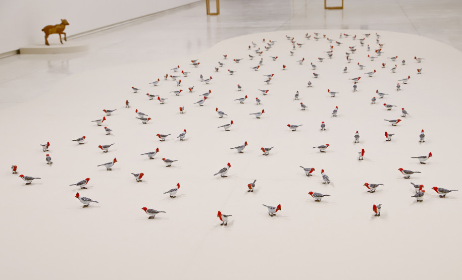 Colaboradores do MON falam sobre suas obras de arte preferidas