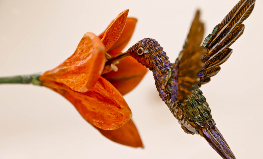 Mostra “O Jardim” terá exibição e debate sobre o documentário de Efrain Almeida no MON