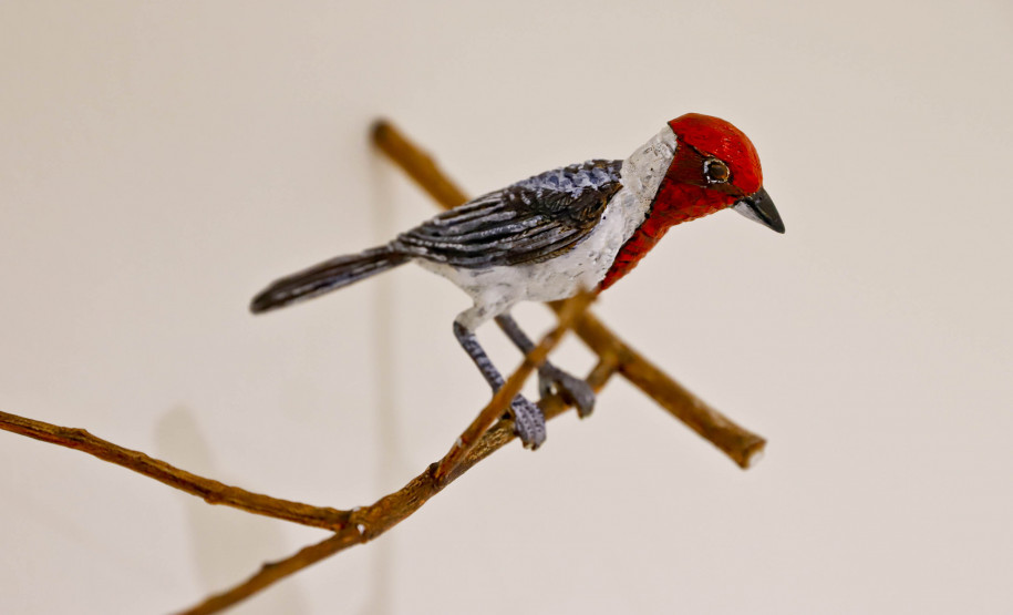 Mostra “O Jardim” terá exibição e debate sobre o documentário de Efrain Almeida no MON