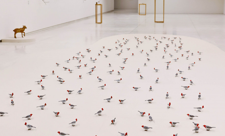 Mostra “O Jardim” terá exibição e debate sobre o documentário de Efrain Almeida no MON