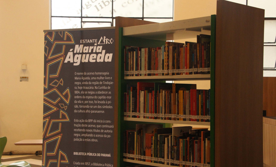 Equipamentos culturais do Estado preparam programação do Mês da Consciência Negra