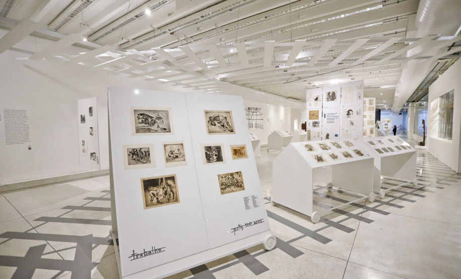 Ações de inclusão do MON serão apresentadas em eventos no Peru e no Ceará