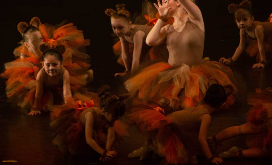 Escola Arte da Dança apresenta "A Fabulosa Loja de Brinquedos" no Guairão