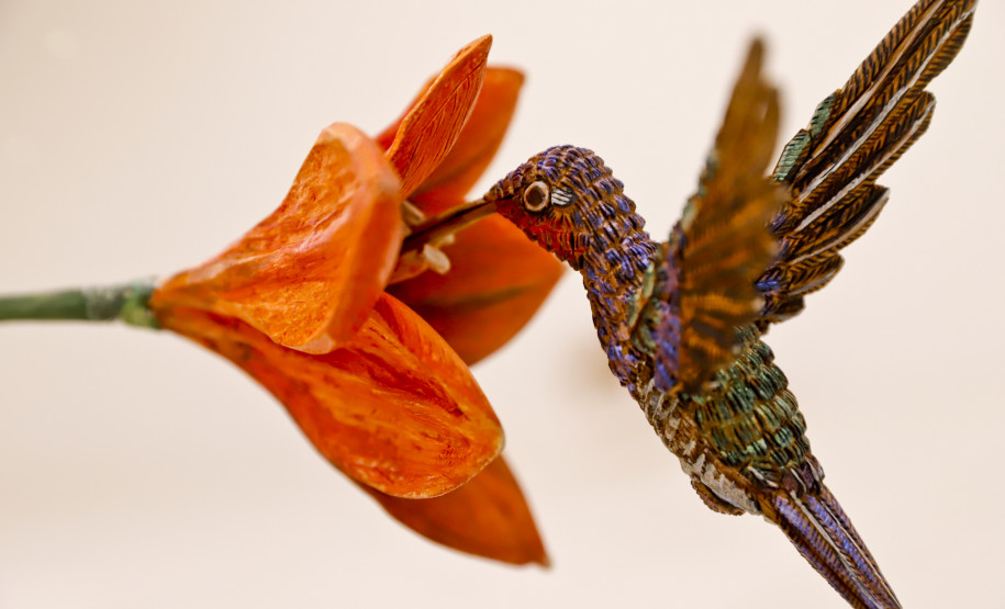 MON encerra o ano com recorde de público, novas exposições e entrega de benfeitorias