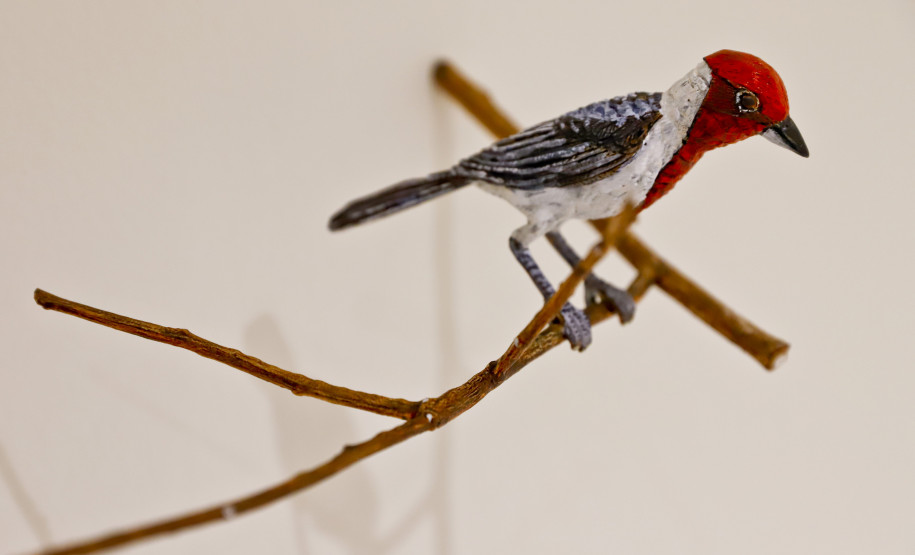 Catálogo da mostra de Efrain Almeida está disponível na MON Loja