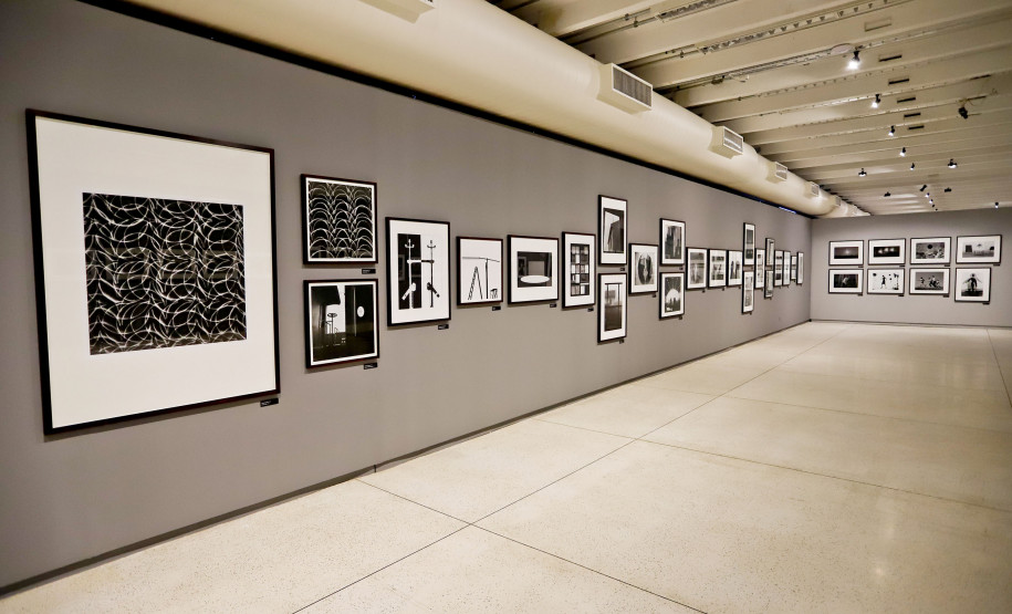 Novas exposições marcam a agenda cultural na semana do Carnaval no Paraná