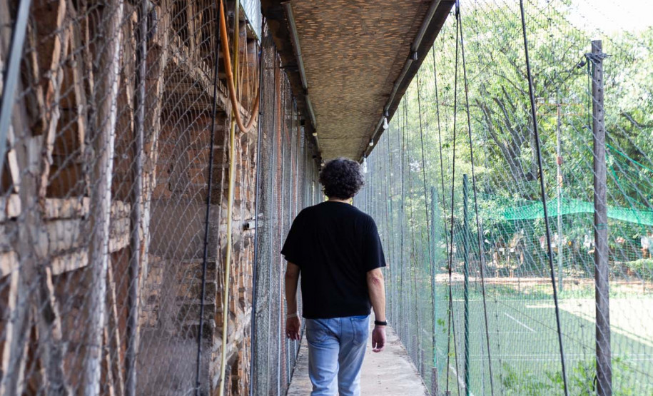 Equipe do Museu Internacional de Foz do Iguaçu acompanha estudos do projeto arquitetônico