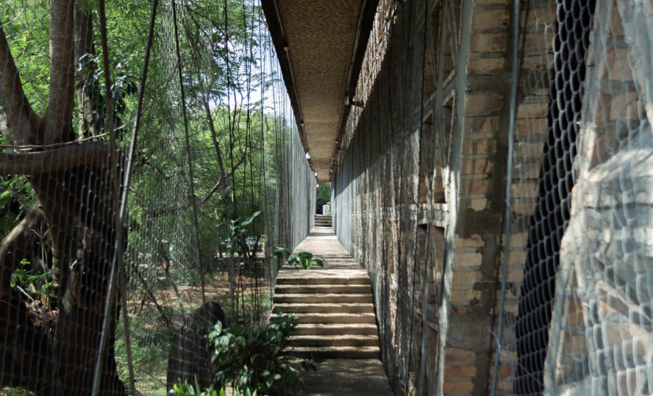 Equipe do Museu Internacional de Foz do Iguaçu acompanha estudos do projeto arquitetônico