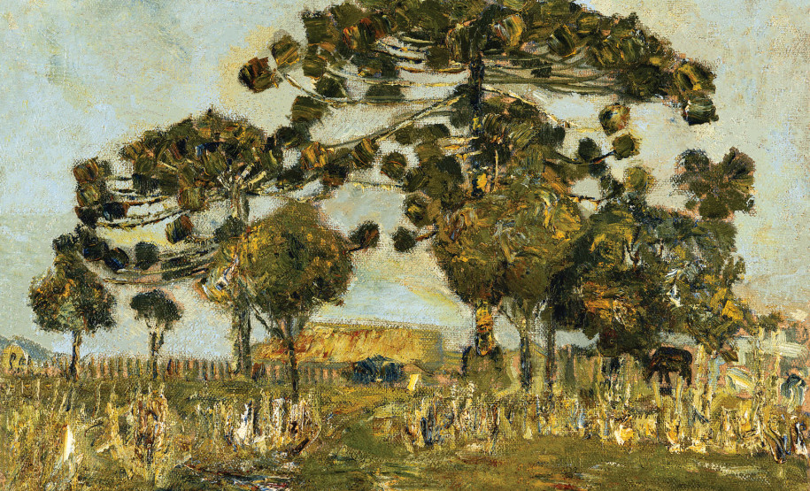 Programação de oficinas e mediações gratuitas do MON em abril está disponível