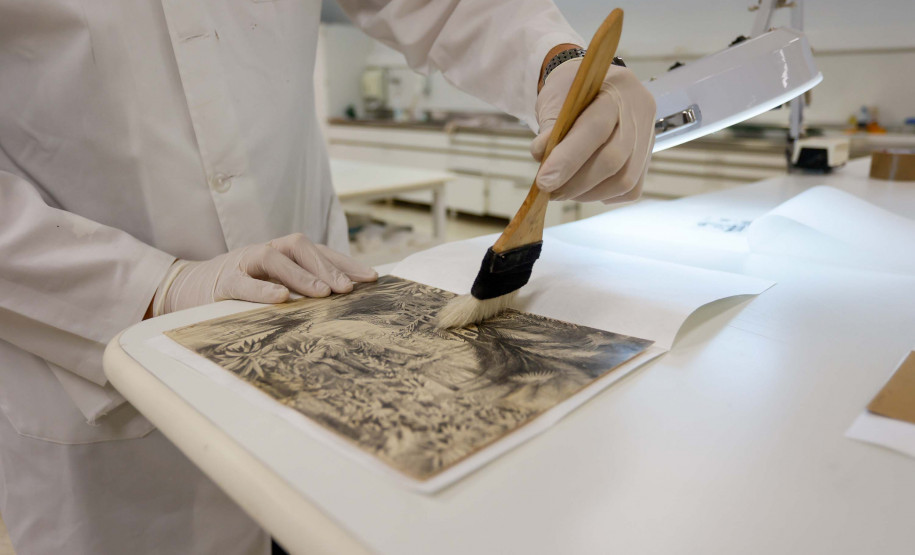 Peças milenares, Andy Warhol, Tarsila do Amaral; conheça as raridades do acervo do MON