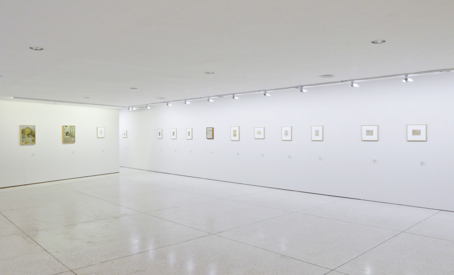 Programa Arte para Maiores de maio vai abordar a obra do paranaense Miguel Bakun