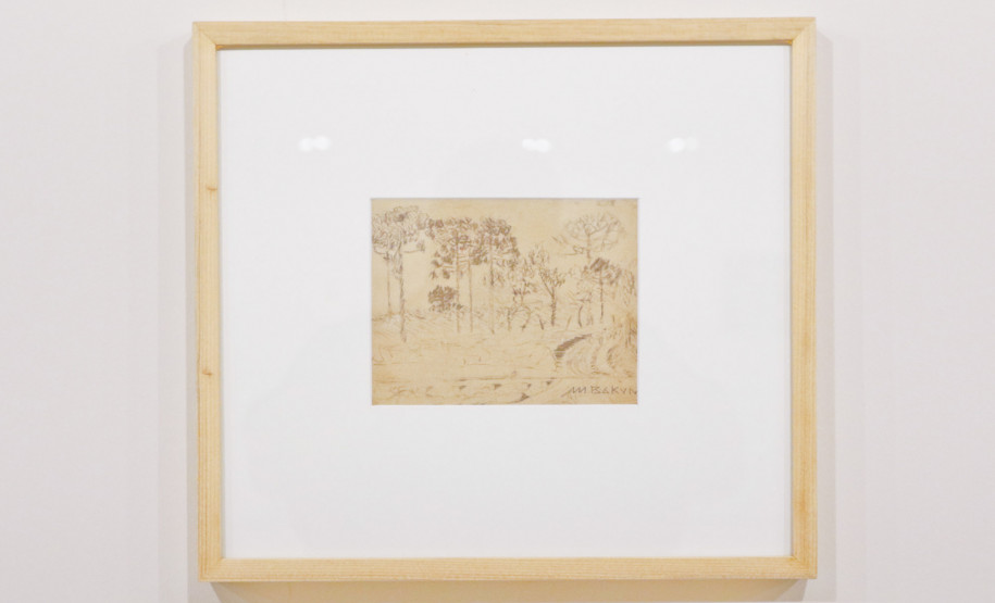 Programa Arte para Maiores de maio vai abordar a obra do paranaense Miguel Bakun