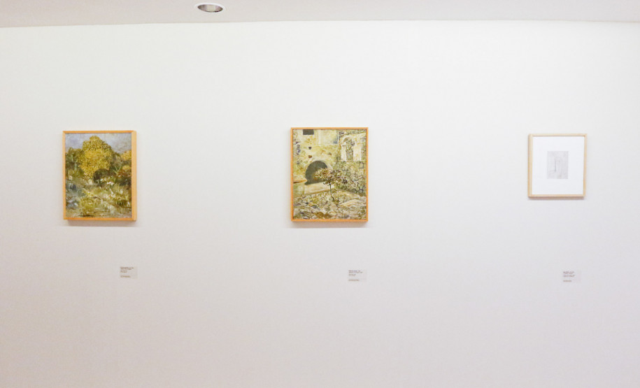 Programa Arte para Maiores de maio vai abordar a obra do paranaense Miguel Bakun