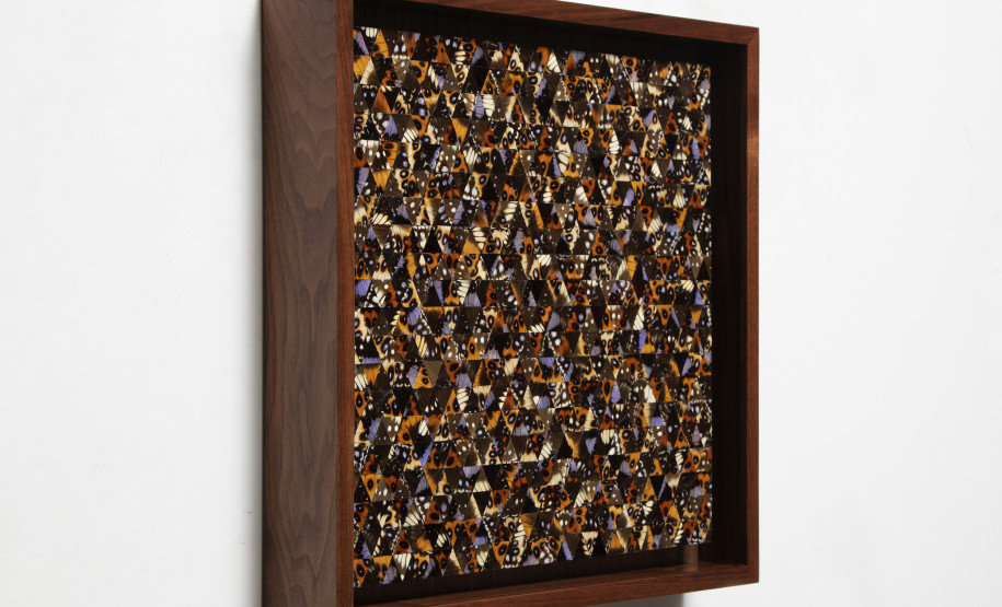 A exposição “Veemente”, do artista mexicano Gabriel de la Mora, é a mais nova realização do Museu Oscar Niemeyer (MON)