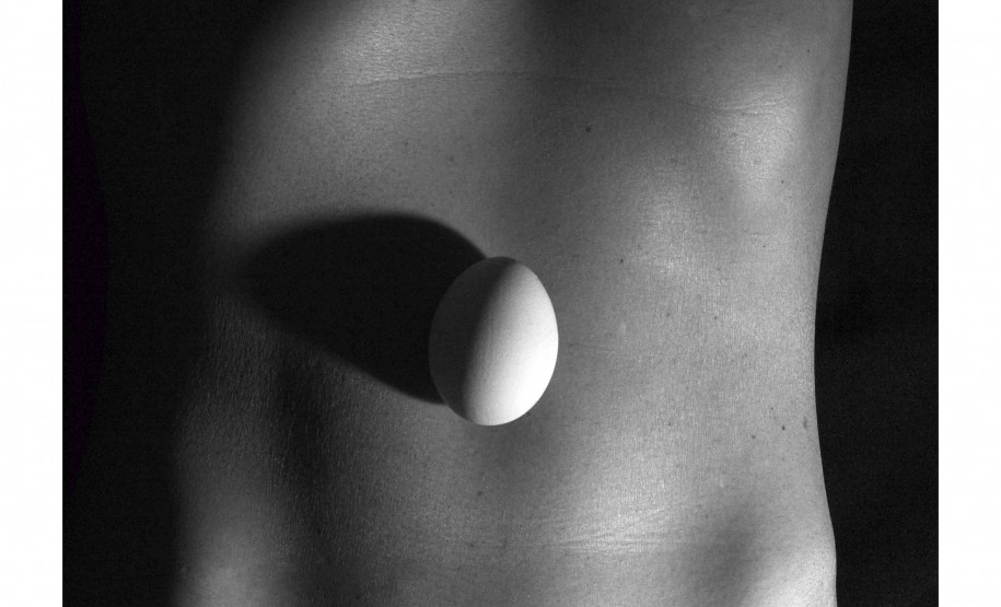 Com nova exposição no dia 16, o Museu da Imagem e do Som do Paraná (MIS-PR) inaugura a “Ciclo(s) – Percepções da Alma em Movimento”, com entrada gratuita.