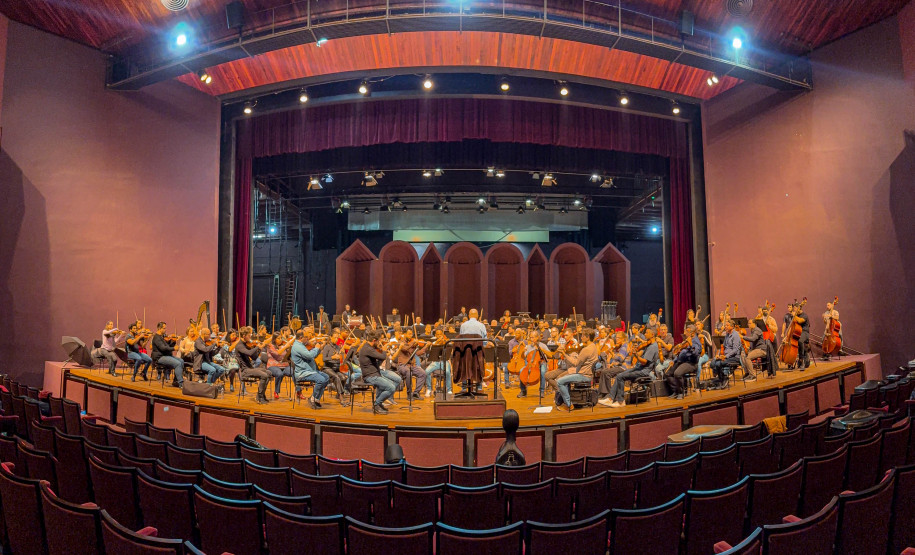 De elefanta a pilha de currículos para a escolha do 1º maestro: os causos da Orquestra Sinfônica
