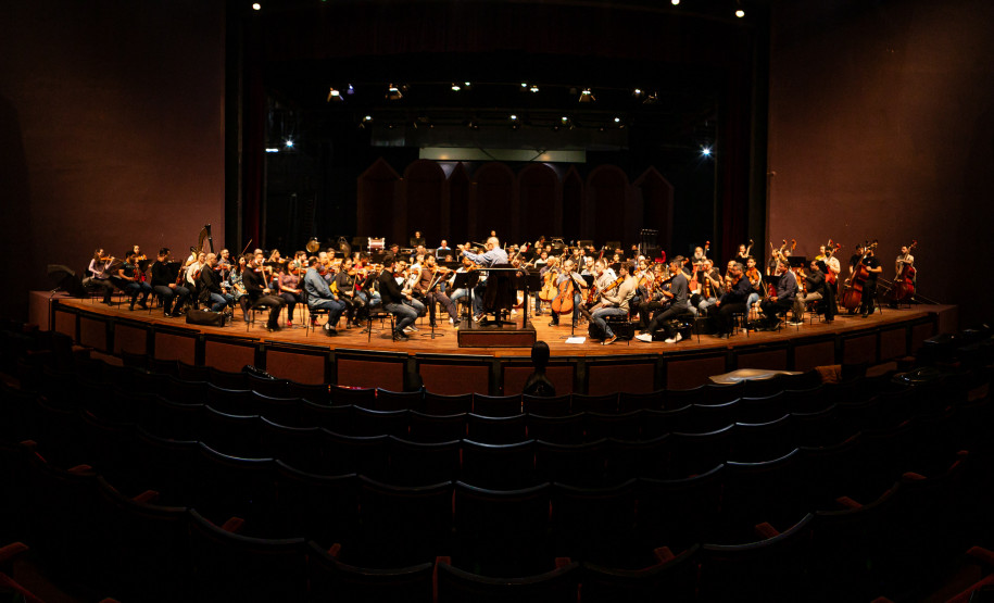 De elefanta a pilha de currículos para a escolha do 1º maestro: os causos da Orquestra Sinfônica