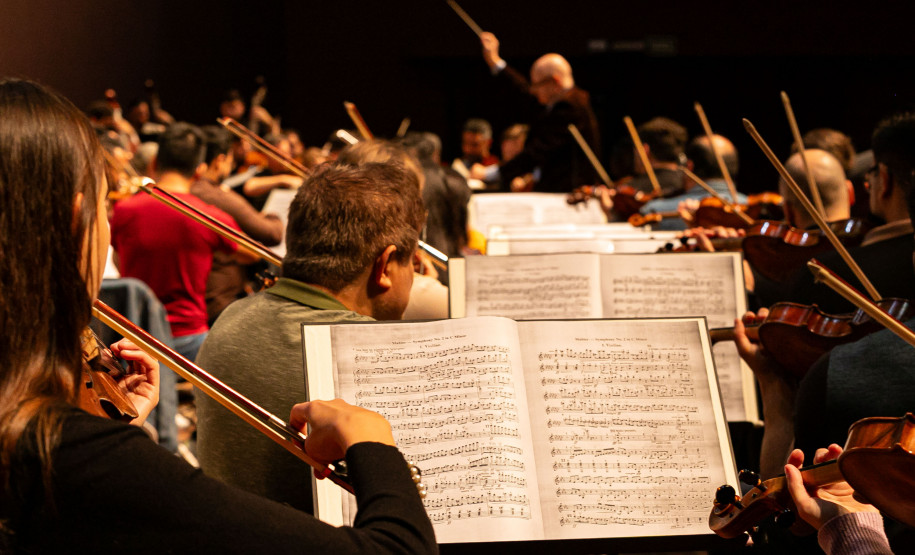 De elefanta a pilha de currículos para a escolha do 1º maestro: os causos da Orquestra Sinfônica