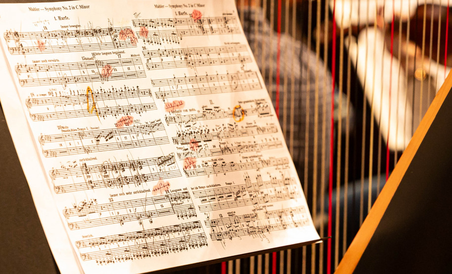 De elefanta a pilha de currículos para a escolha do 1º maestro: os causos da Orquestra Sinfônica